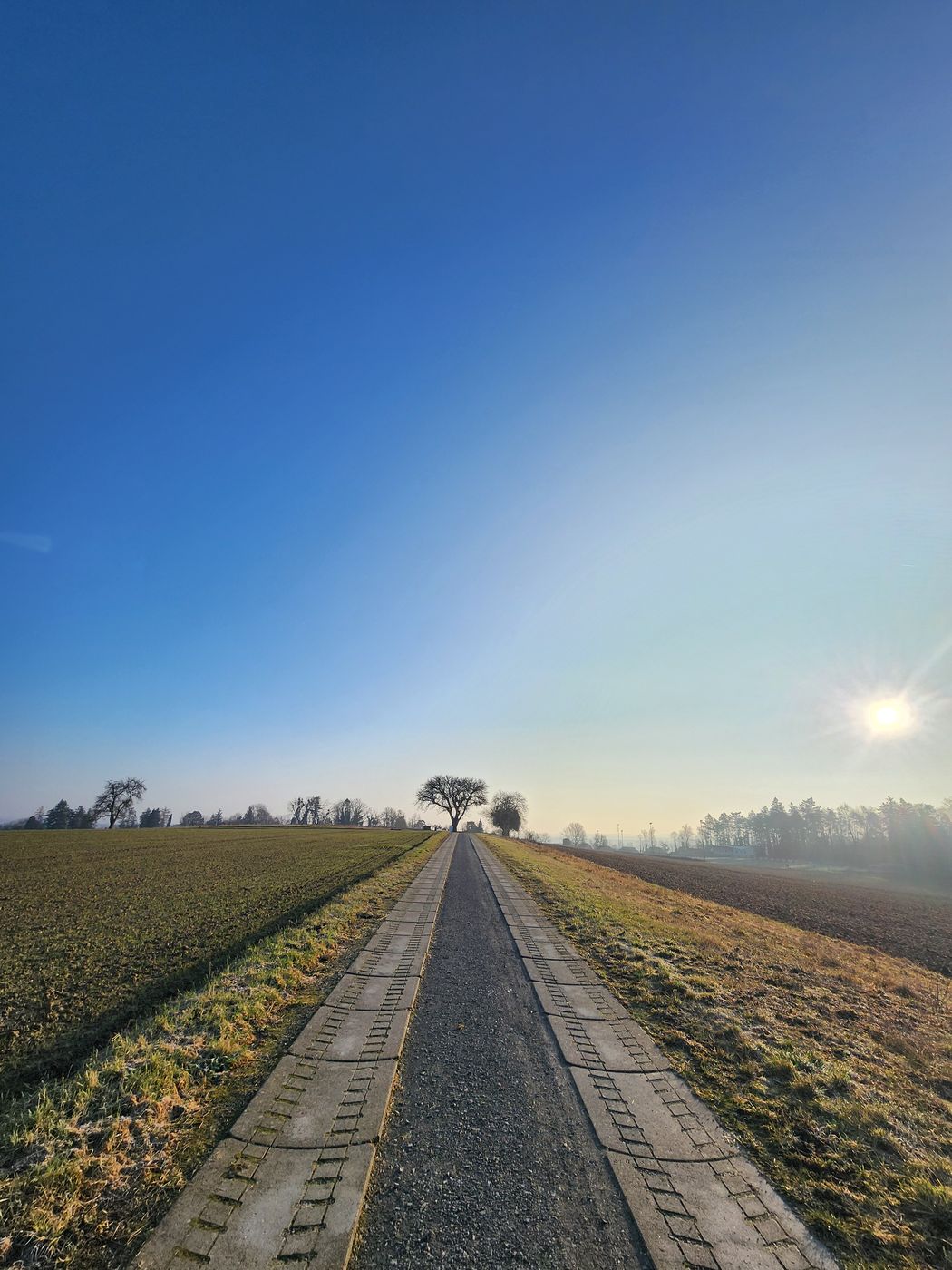 Feldweg im Morgenlicht, der zum Horizont führt