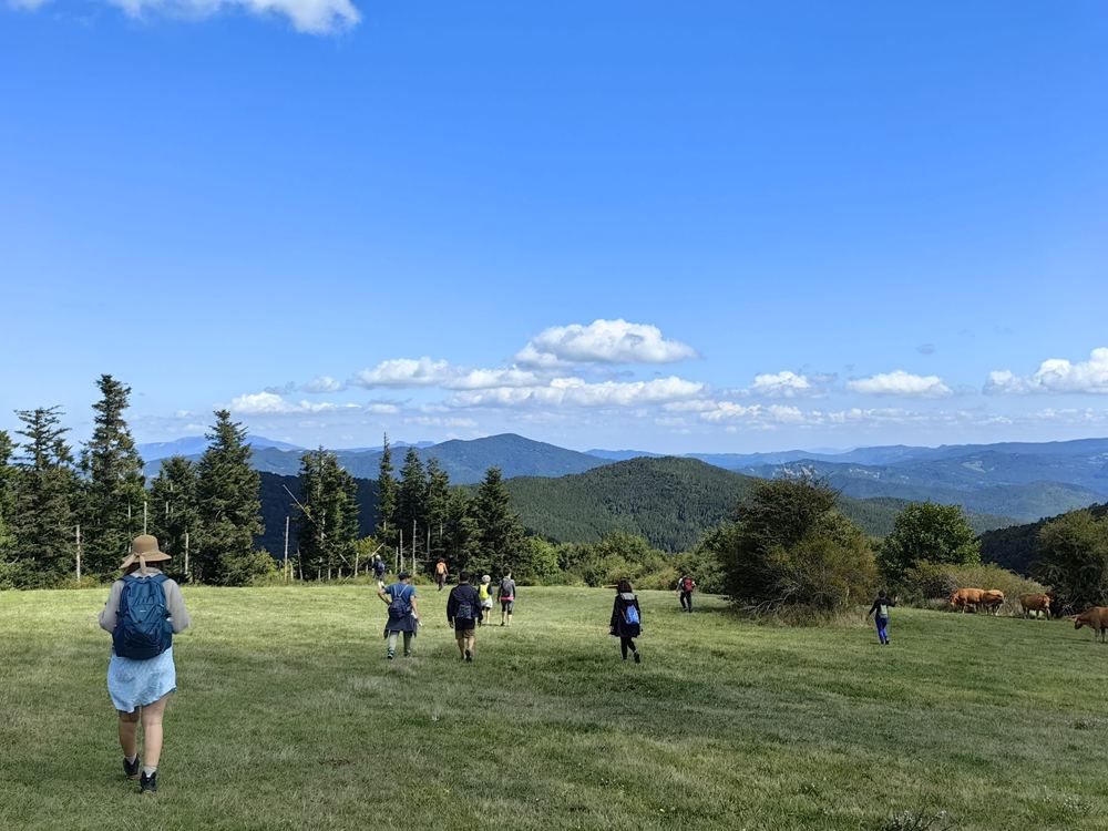 Gruppe auf einer Bergwiese